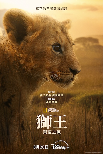 狮王:荣耀之战
