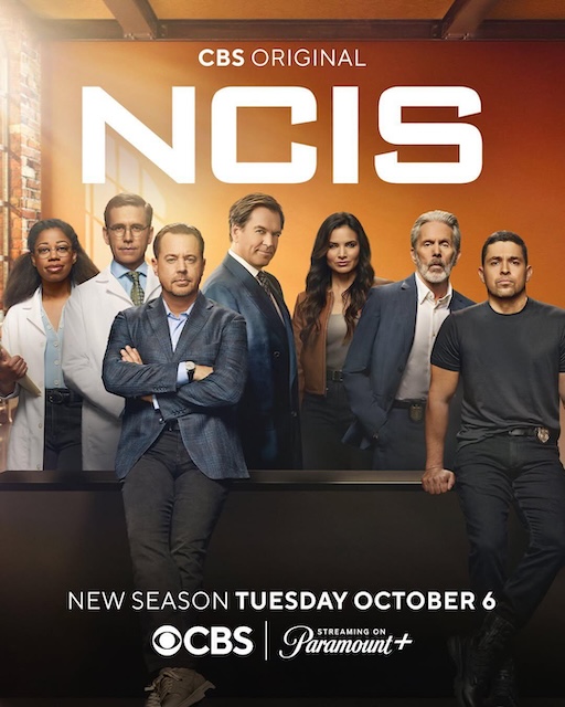 海军罪案调查处 第二十四季 NCIS: Naval Criminal Investigative Service Sea